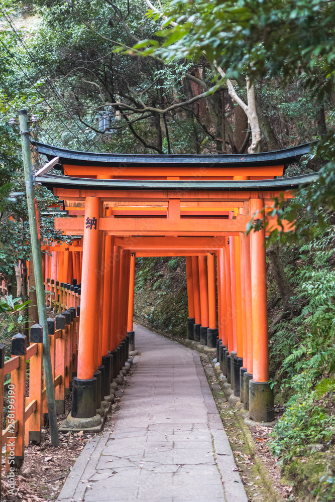 Naklejka premium Close-Up of Torii Gates on the Inari mountain in the forest. Fushimi Inari Taisha, Kyoto, Japan