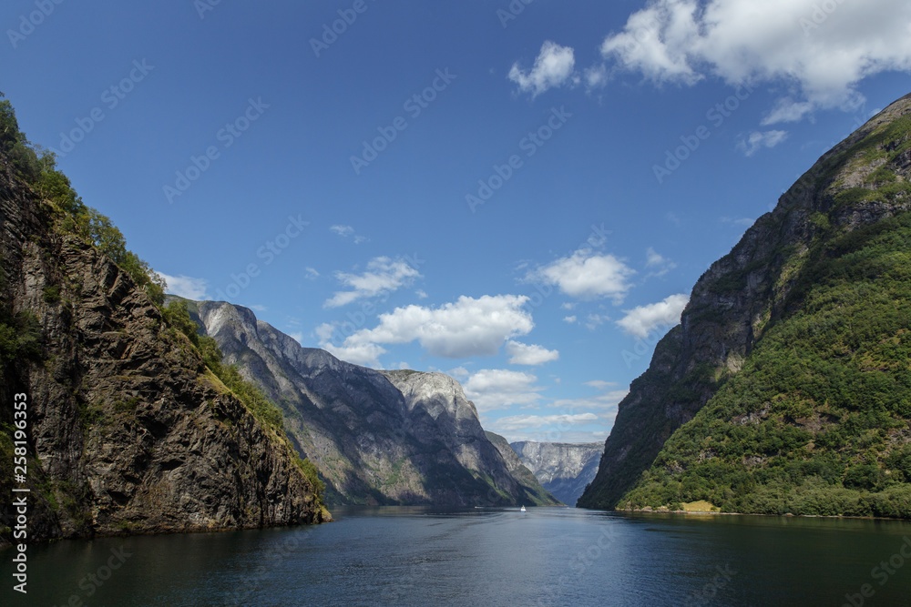 View of a peacefull summer fjord