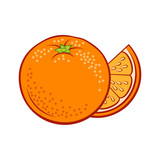 Illustration of Colorful Juicy Stylized Whole and Slice Orange. Icon for Food Apps and Stickers Isolated on a White Background