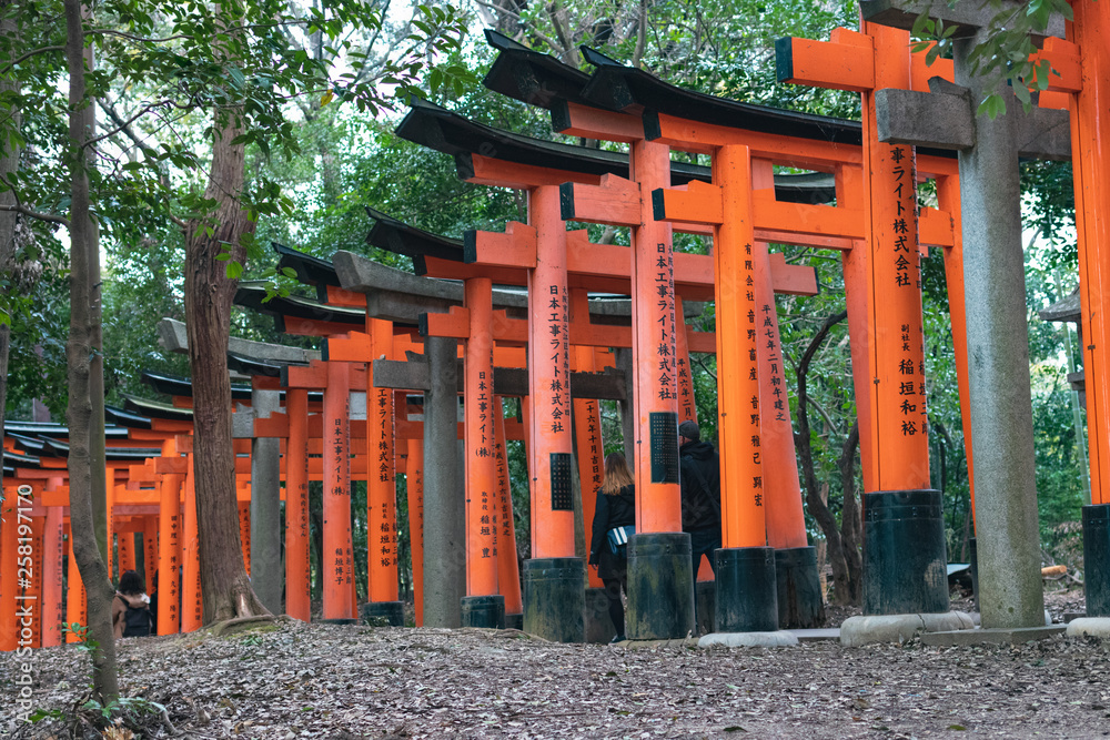 Close-Up of Torii Gates on the Inari mountain in the forest. Fushimi Inari Taisha, Kyoto, Japan Close-Up of Torii Gates on the Inari mountain in the forest. Fushimi Inari Taisha, Kyoto, Japan
