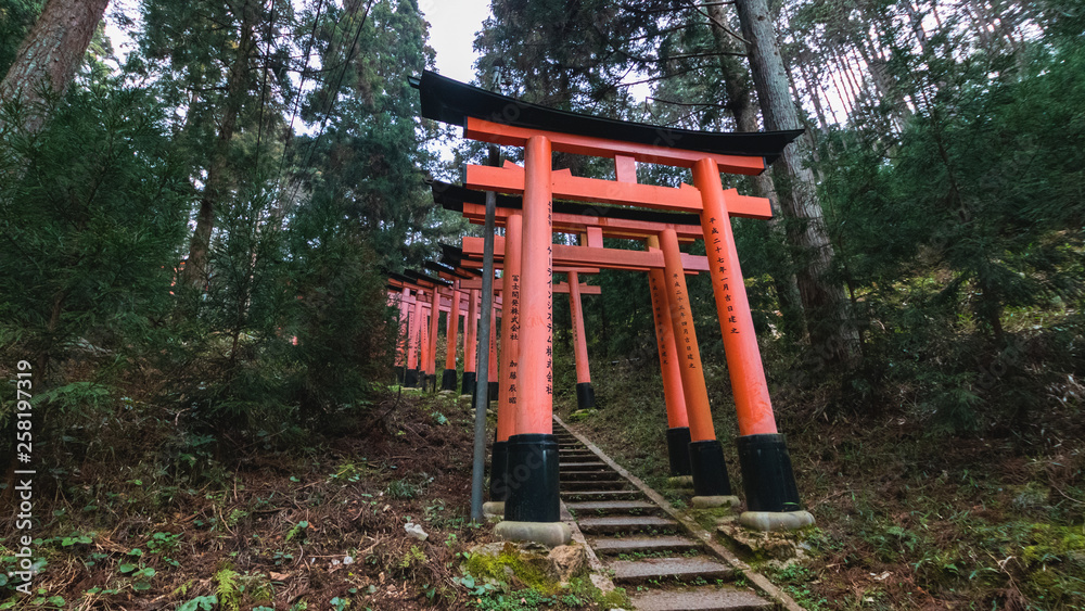 Close-Up of Torii Gates on the Inari mountain in the forest. Fushimi Inari Taisha, Kyoto, Japan Close-Up of Torii Gates on the Inari mountain in the forest. Fushimi Inari Taisha, Kyoto, Japan