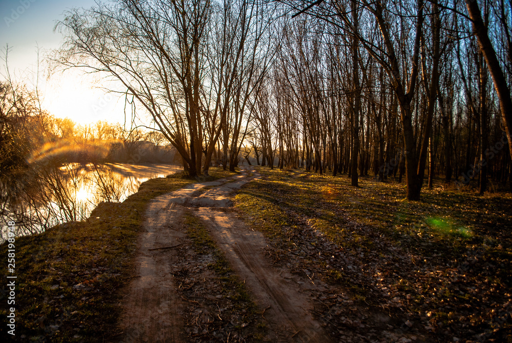Fototapeta premium teploye utro vozle lesnoy reki 29/5000 warm morning near the forest river