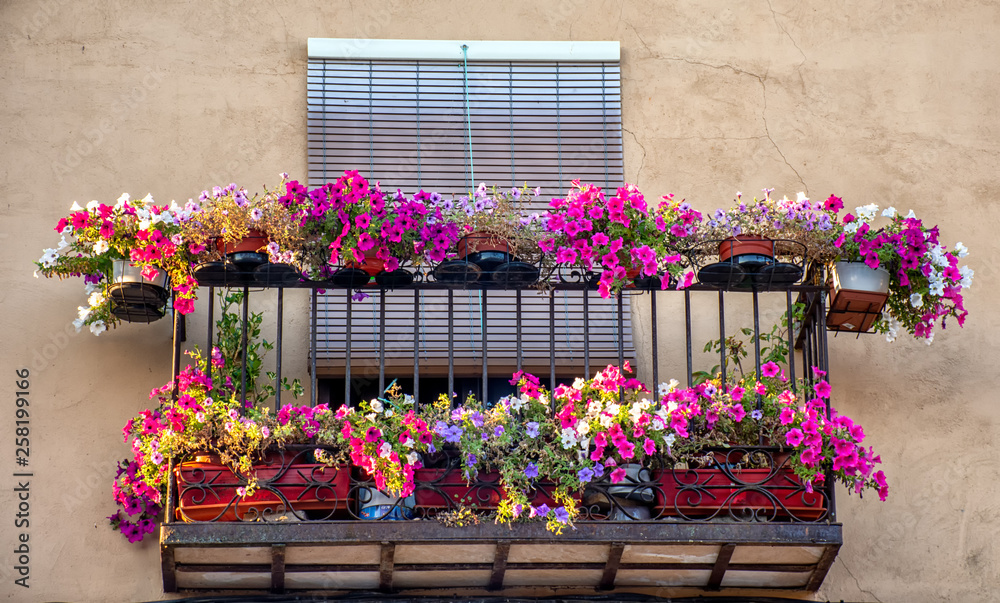 Balcon adornado de flores, Riaza