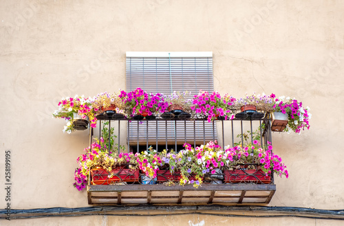 Balcon primaveral en Riaza, Segovia photo