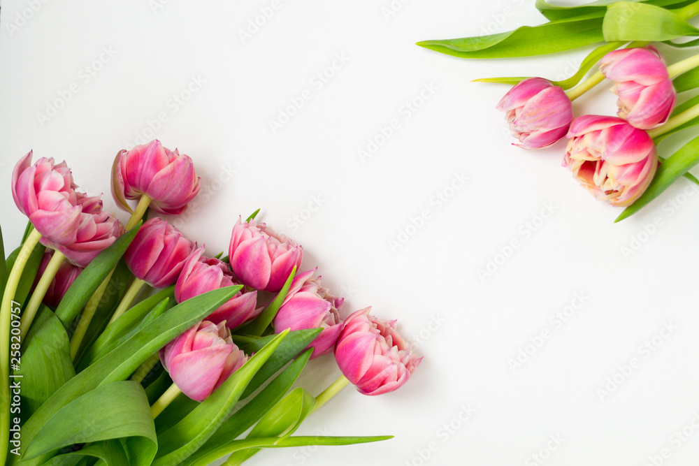Pink flowers tulips bouquet of flowers on a white background. Pink flowers tulips bouquet of flowers on a white background.