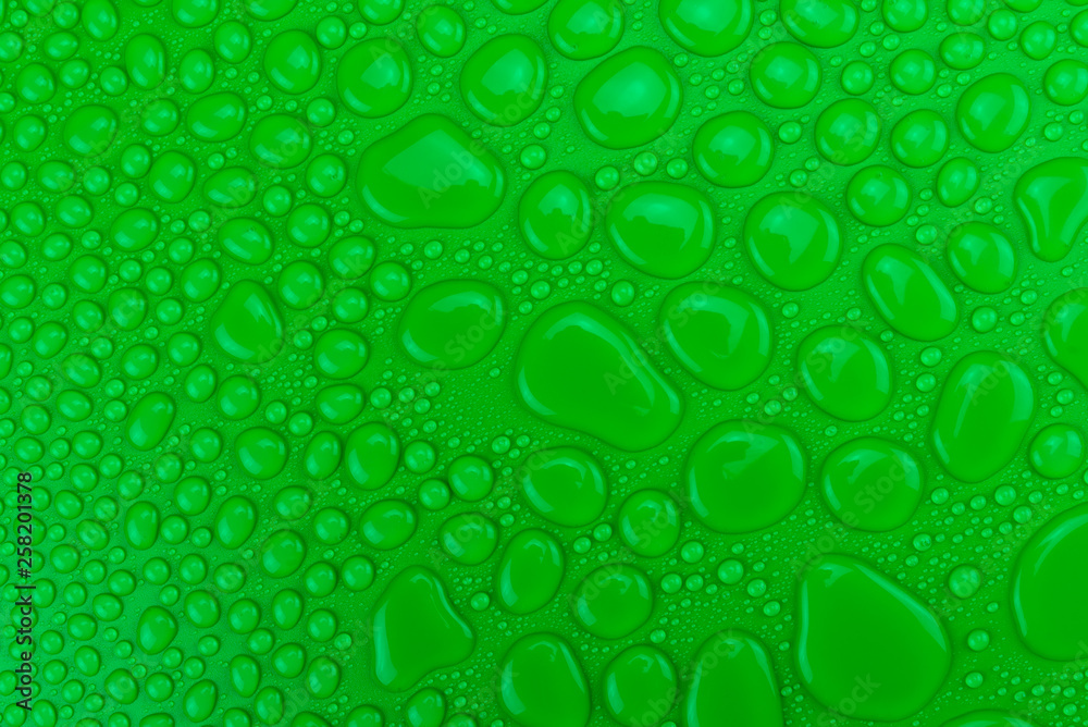 Droplets of water on a green, matte background illuminated with a delicate light.