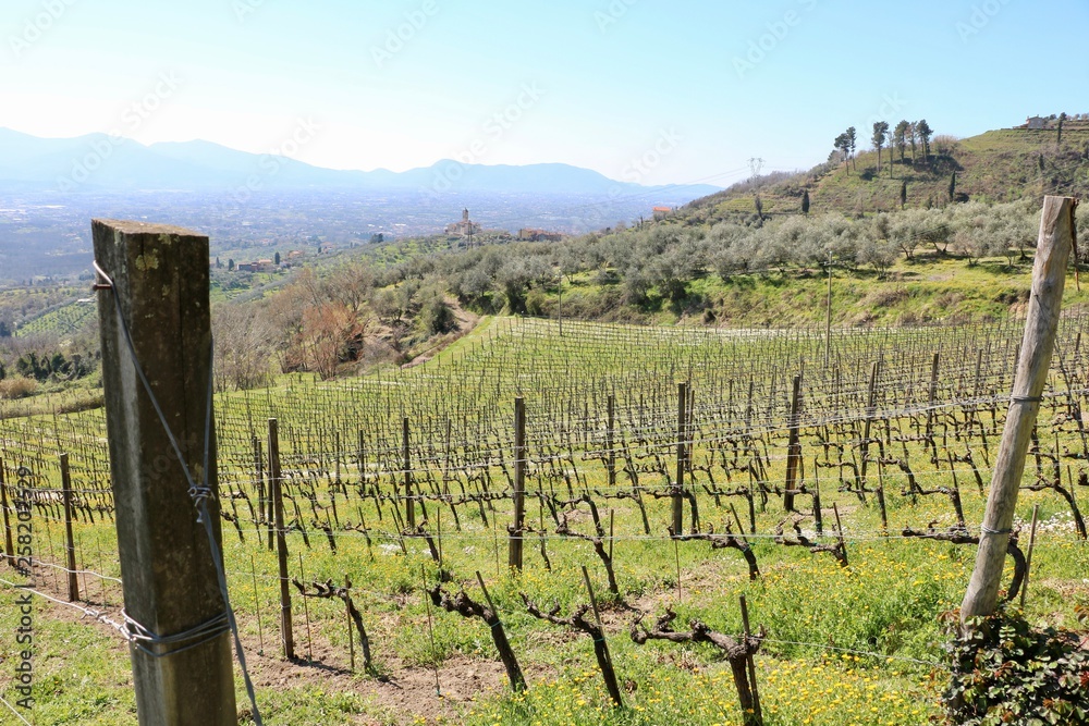 Tuscany moments Tuscany moments