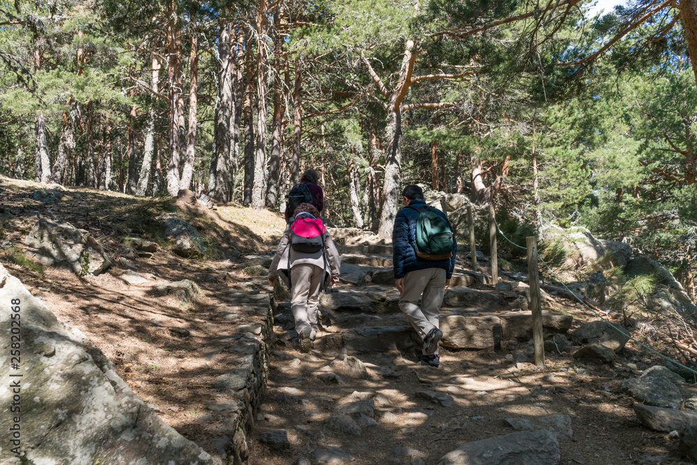 A bunch of friends in their 50's practice mountain hiking at spring time