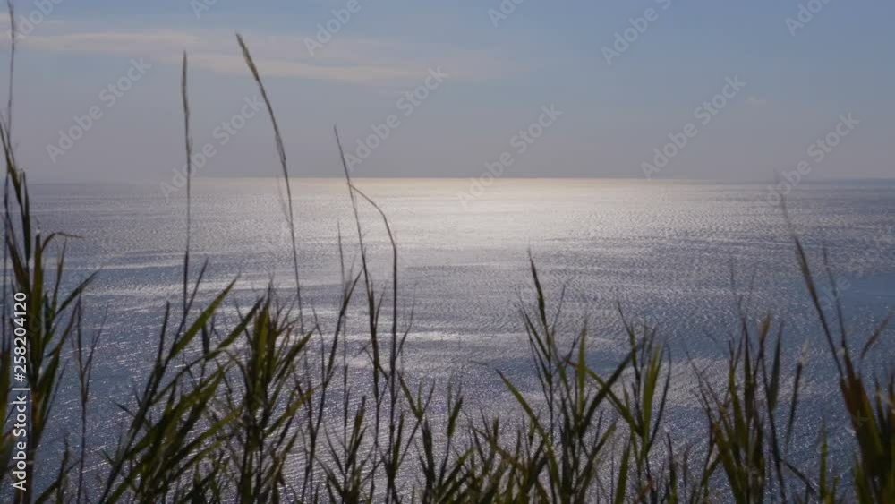 sunset through the grass. sun reflections on the sea, grass swaying in wind. sunset through the grass. sun reflections on the sea, grass swaying in wind.
