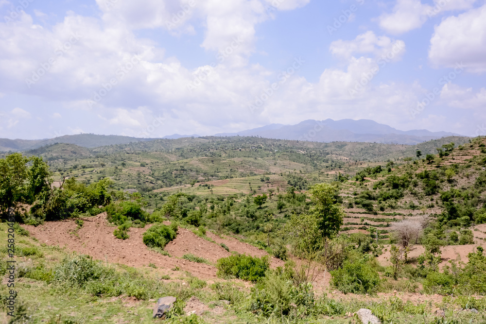 Naklejka premium Landscape in Danakil