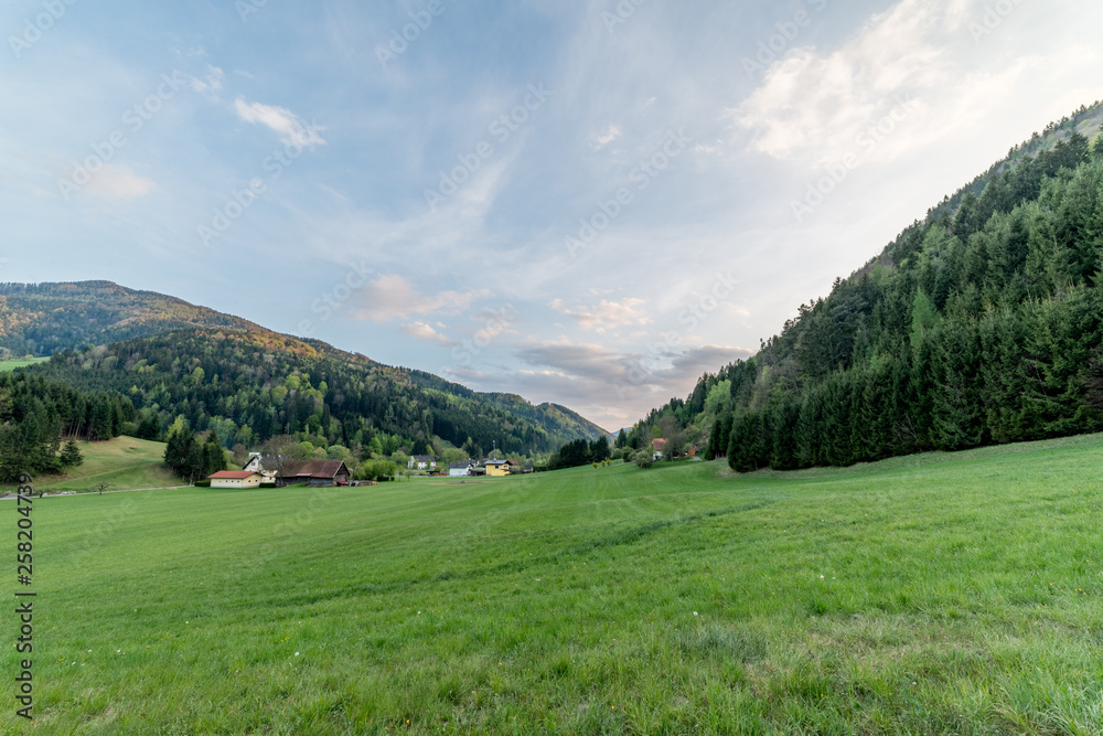 Alpine landscape with trees and blue sky near Bärenschützklamm in Mixnitz - Austria (Styria) 
