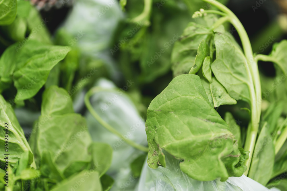 Spinach green leaf from the garden for sale at local farmers market or supermarket