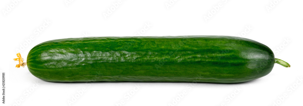 Cucumber On White Background Cucumber On White Background