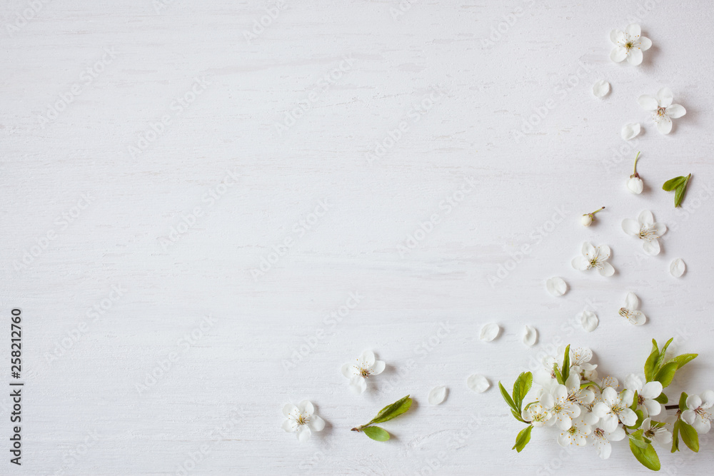 Background with blooming spring cherry plum branches - obrazy, fototapety, plakaty 