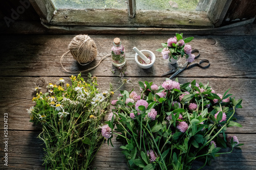 Pink clover, daisies and hypericum flowers, mortar, clover tincture or infusion, scissors and jute on old wooden table inside the retro village house. Top view.