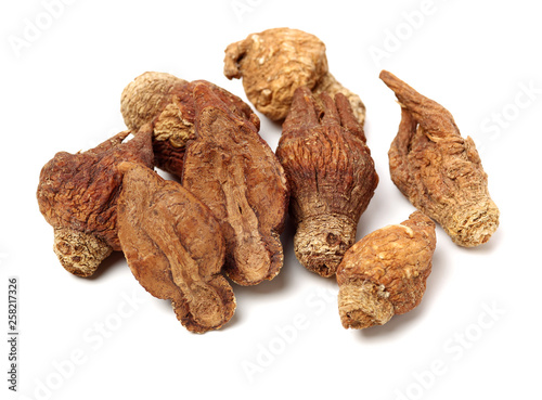 Dried raw betel or areca nut on white background photo