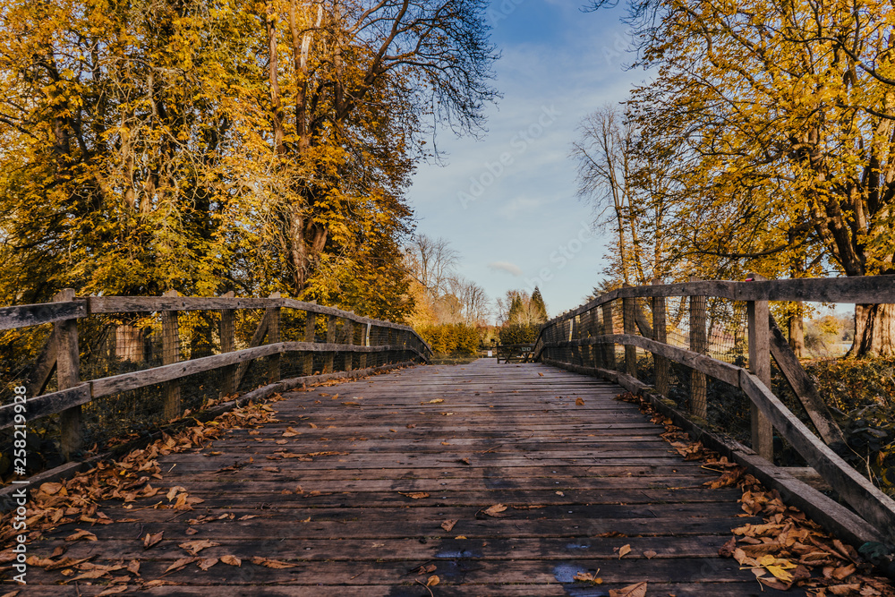 Wooden bridge road. Yellow trees. Sunny autumn day in England