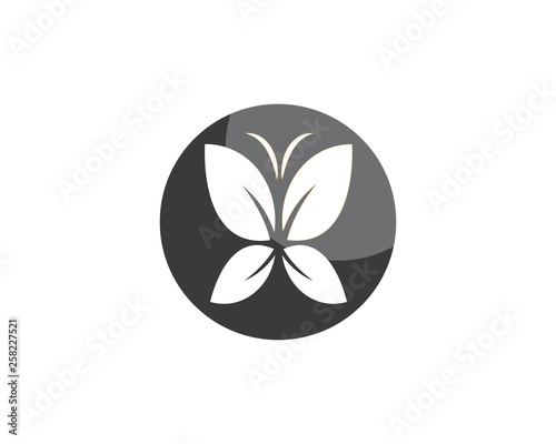 butterfly logo vector template