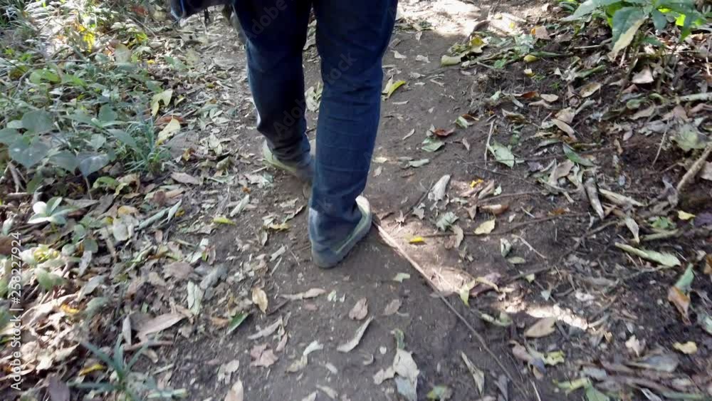 4K Rear Point of view close up tracking shot young man's legs backpacker hiking or walking down the hill in a forest explorer trail in the morning. 4K Rear Point of view close up tracking shot young man's legs backpacker hiking or walking down the hill in a forest explorer trail in the morning.