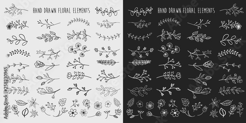 Hand Drawn Floral Elements