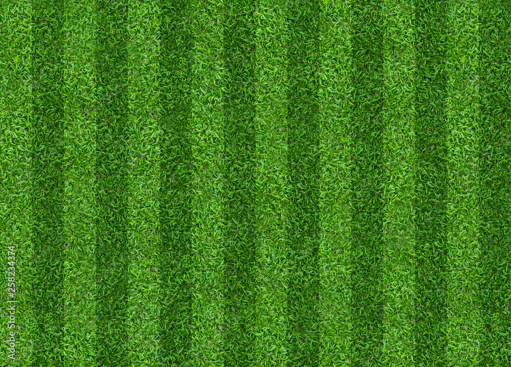 Naklejka Green grass field background for soccer and football sports. Green lawn pattern and texture background. Close-up.