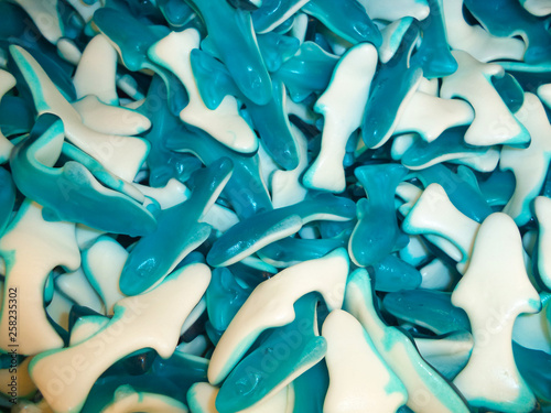 colorful sweet candies in the shape of a shark fish