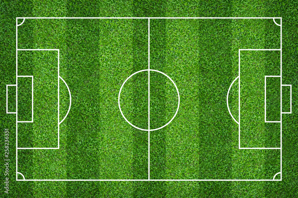 Football field or soccer field for background. Green lawn court for create game. Football field or soccer field for background. Green lawn court for create game.