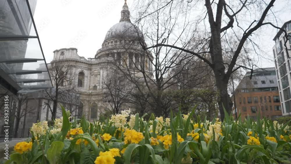 A view of St. Paul’s Cathedral with yellow flowers in the foreground. A view of St. Paul’s Cathedral with yellow flowers in the foreground.
