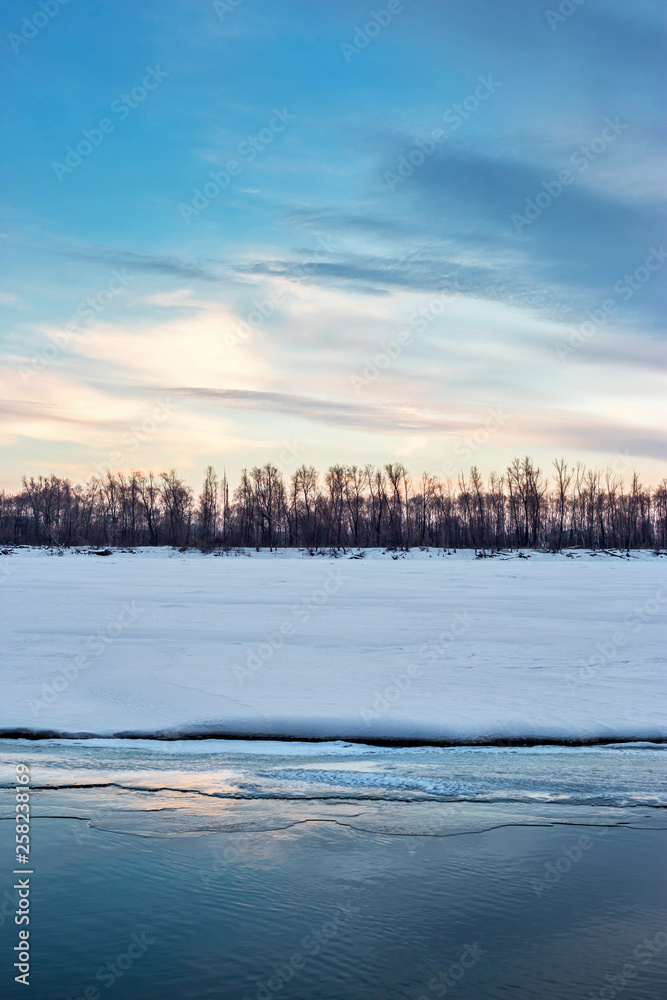 Obraz premium winter landscape with trees and snow