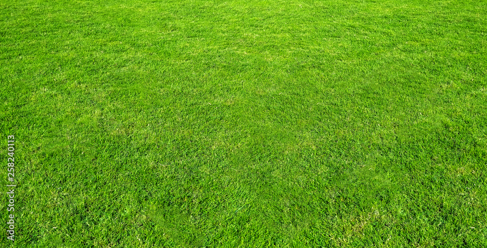 Landscape of grass field in green public park use as natural background or backdrop. Green grass texture from a field. Landscape of grass field in green public park use as natural background or backdrop. Green grass texture from a field.