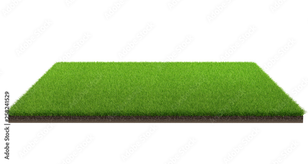 Naklejka 3d rendering odizolowywający na białym tle z ścinek ścieżką zielonej trawy pole. Boisko sportowe.