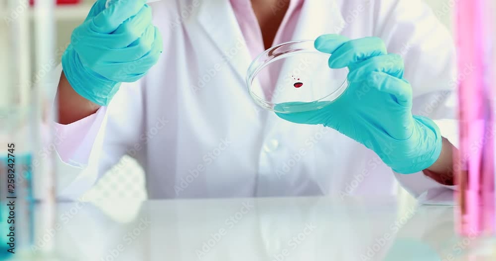 Scientist dropping sample of liquid into petri dish for her experiments, in laboratory room. Scientist dropping sample of liquid into petri dish for her experiments, in laboratory room.