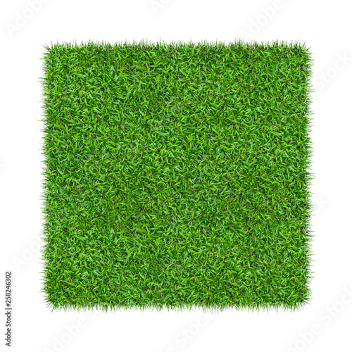 Green grass. Natural texture background. Fresh spring green grass. isolated on white background.