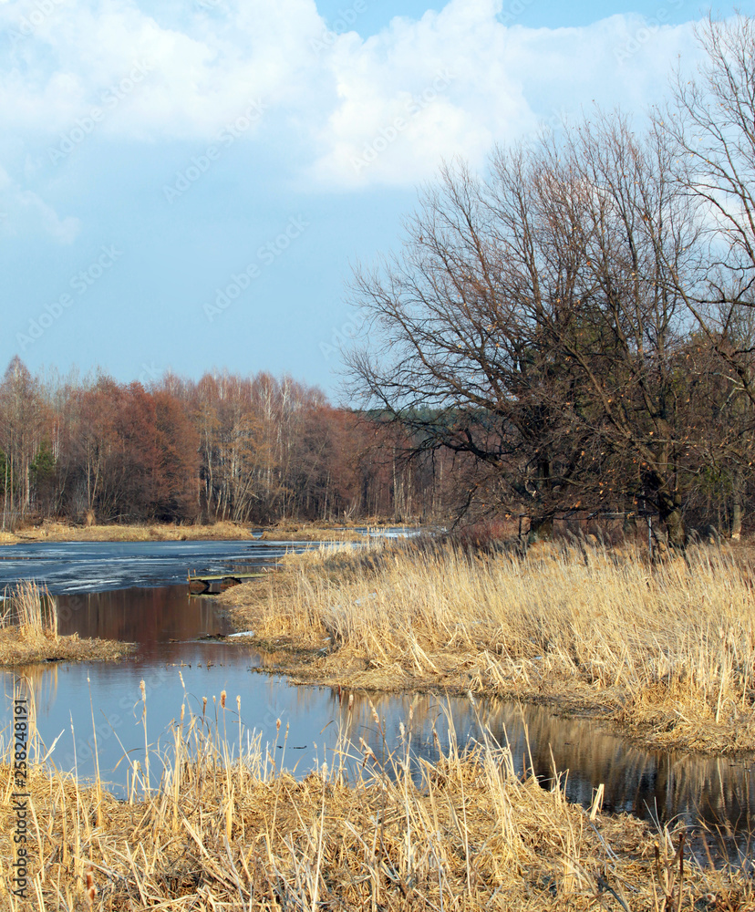 Fototapeta premium spring flood