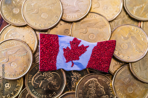 Canadian one dollar coins with a canadian flag