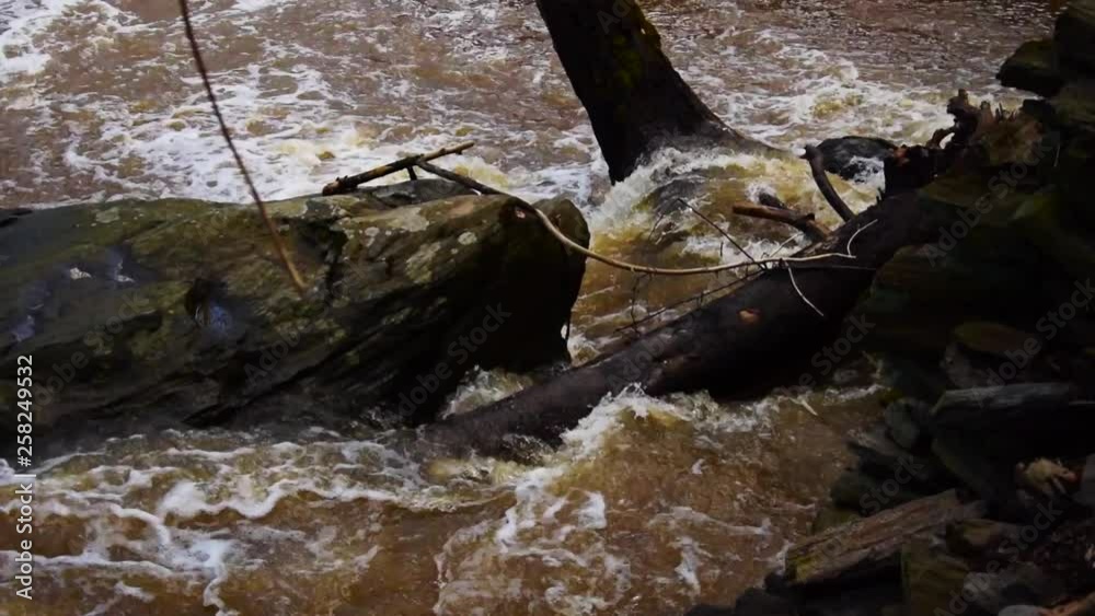 Water flooding and rushing over a tree into a creek Water flooding and rushing over a tree into a creek