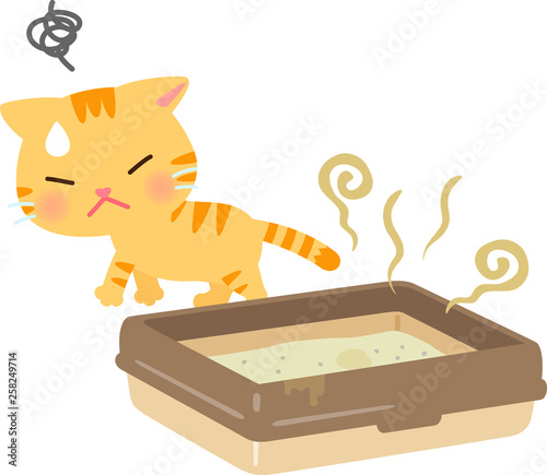 汚い猫用トイレを嫌がる猫