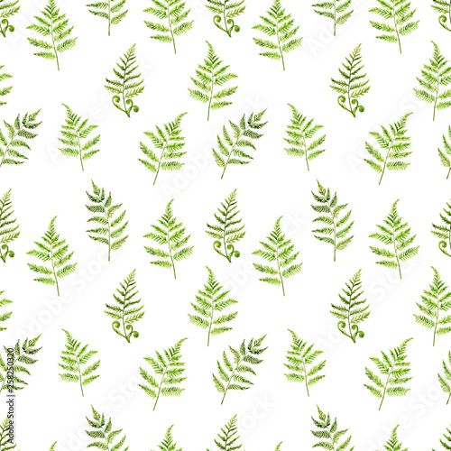 Seamless pattern with branches of fern. Hand drawing, watercolor illustration