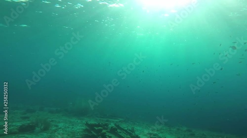 The Incredible World Underwater: Scuba Diving