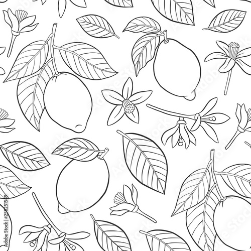 Lemons seamless pattern with leaves and flowers.