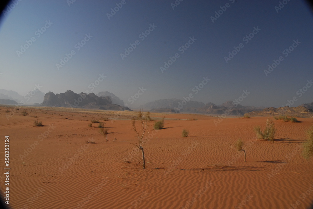 Desert View of Wadi Ram Jordan
