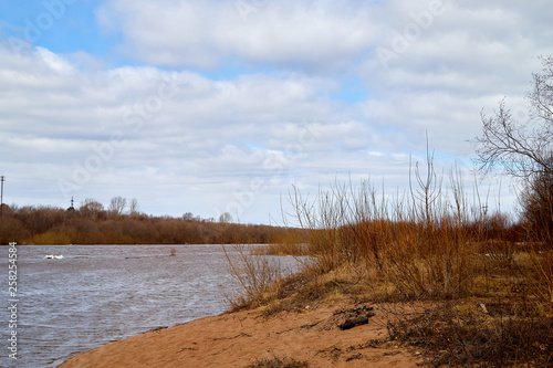 Spring landscape with river  yellow grass on the shore  trees without leaves and blue sky with white clouds in the background