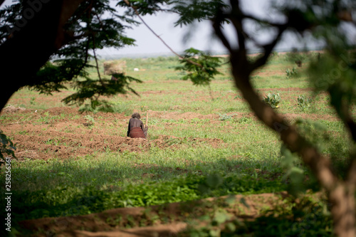 Landscape in Tribe Dasanech photo