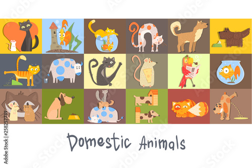 Cute funny domestic animals characters set, cat, dog, rat, parrot, fish vector colorful Illustrations