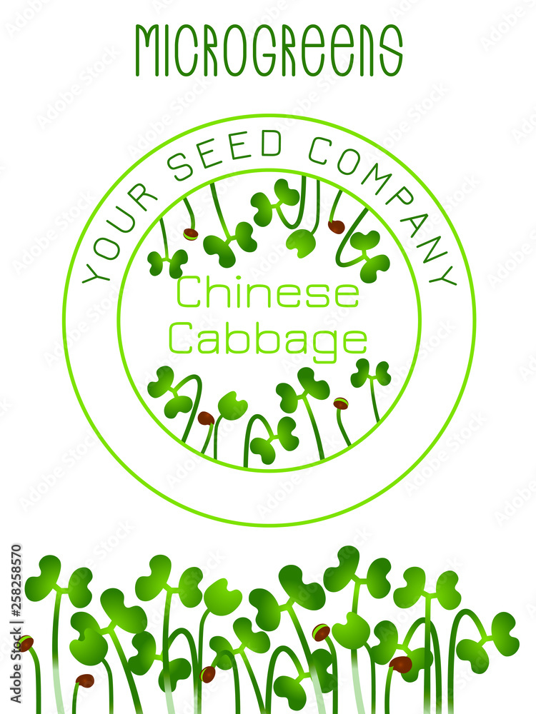 Microgreens Chinese Cabbage. Seed packaging design, text, vegan food