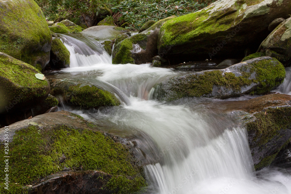 waterfall in forest