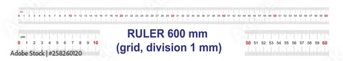 Ruler of 600 millimeters. Ruler of 60 centimeters. Calibration grid. Value division 1 mm. Precise length measurement device. Two-sided measuring instrument.