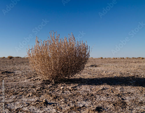 Foto Landscape of aralkum desert as a bed of former Aral sea, Karakalpakstan, uzbekis