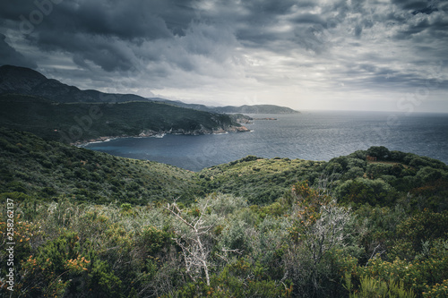 An der Küste Korsikas.