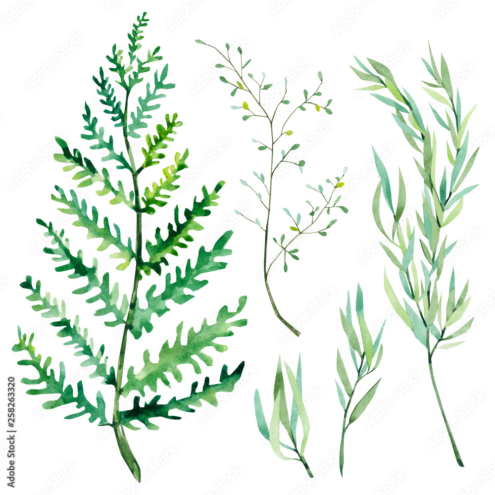 Watercolor botanical elements. Set of Green leaves, herbs and branches. Branches Design elements. Perfect for wedding invitations, blogs, posters and more